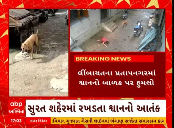 Surat Dog | સુરતના લીંબાયતમાં બાળક પર રખડતા શ્વાને કરી દીધો હુમલો