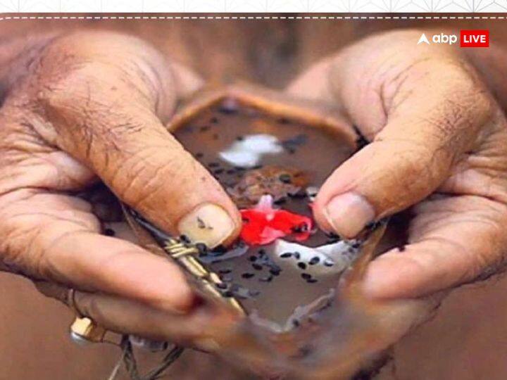 श्राद्ध करते समय कुशा से बनी अंगूठी, जिसे पवित्री भी कहा जाता है अनामिका उंगली में धारण करने की परंपरा है. इसके बिना तर्पण, पिंडदान अधूरा है.