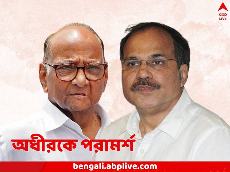 NCP Leader advises Congress leader Adhir Ranjan Chowdhury not to curse Mamata Banerjee Sharad Pawar: মমতাকে লাগাতার কুকথা, এই আচরণ কাম্য নয়, অধীরকে পরামর্শ শরদের