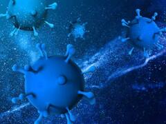 World Health Organization: कोरोनावायरस से 7 गुना खतरनाक है यह बीमारी X, जानें इस महामारी के बारे में सबकुछ