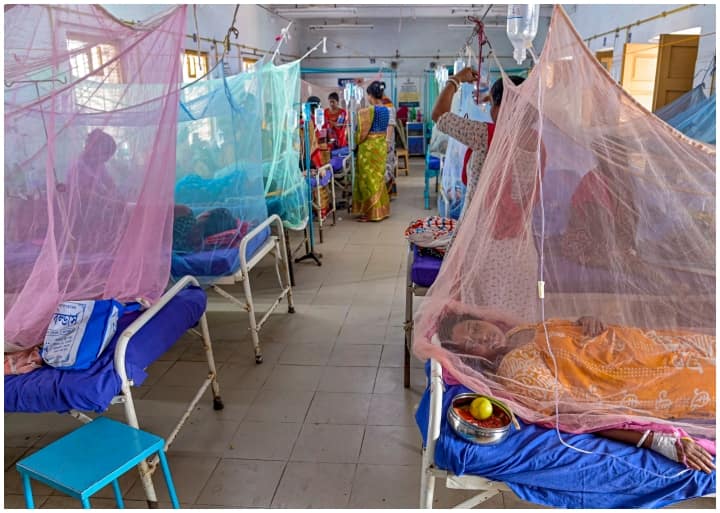 Dengue Cases Per Year Know why Dengue comes every Year in india read here Reason behind this क्यों हर साल आ जाता है डेंगू और फिर शुरू हो जाता है अस्पतालों में भीड़ और मौत का तांडव!