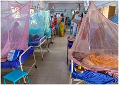 क्यों हर साल आ जाता है डेंगू और फिर शुरू हो जाता है अस्पतालों में भीड़ और मौत का तांडव!