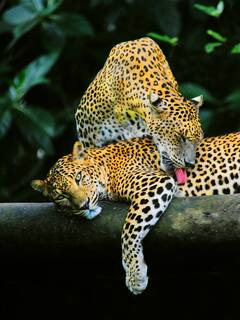 ભારતની પડોશમાં આવેલો આ દેશ છે 'એશિયામાં શ્રેષ્ઠ એડવેન્ચર ડેસ્ટિનેશન', જુઓ શાનદાર તસવીરો