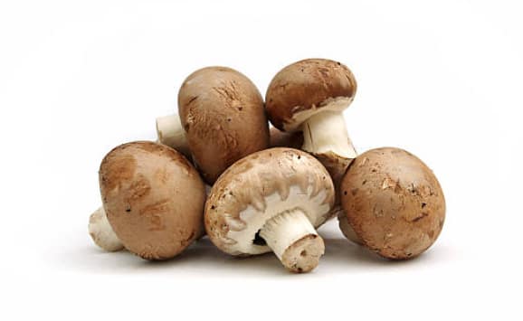 Benefits Of Mashroom For Healthy Body Know In Detail Marathi News ...