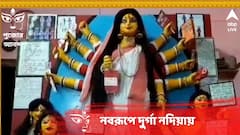থ্যালাসেমিয়া রুখতে সচেতনতা বার্তা নিয়ে নবরূপে দুর্গা নদিয়ায়
