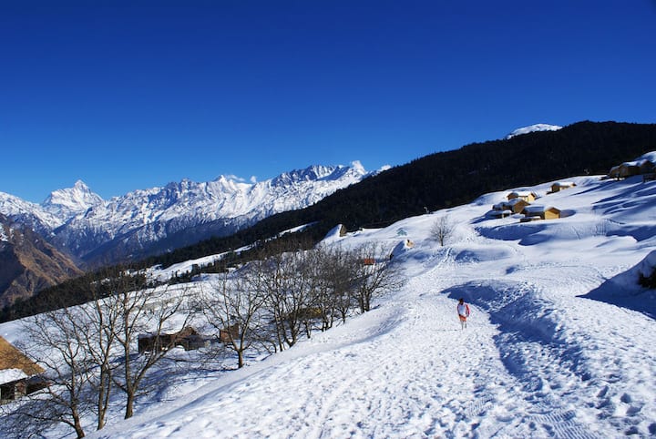 Travel Destinations : भारतातील औली (Auli) हे ठिकाण मिनी स्वित्झर्लंड (Mini Switzerland) म्हणून प्रसिद्ध आहे. मिनी स्वित्झर्लंड (Mini Switzerland) बाबत अधिक सविस्तर वाचा.