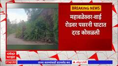 Mahableshwar Land Slide : महाबळेश्वर- वाई रोडवर पसरनी घाटात दरड कोसळली