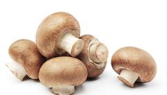 Benefits Of Mashroom : आरोग्याकरता उपयुक्त आहे मशरूम, फायदे वाचून व्हाल अवाक