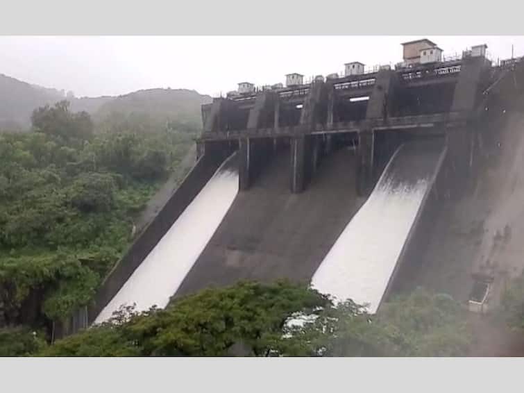Heavy rains in Sangli district Chandoli dam gates reopened 1500 cusecs water released Chandoli Dam : सांगली जिल्ह्यात दमदार पाऊस, चांदोली धरणाचे दरवाजे पुन्हा उघडले, 1500 क्युसेस पाण्याचा विसर्ग