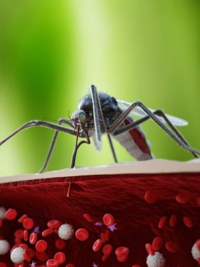 New malaria vaccine:  WHO recommends malaria vaccine made by Oxford University New malaria vaccine: WHO એ મેલેરિયાની બીજી વેક્સિનને આપી મંજૂરી, જાણો નવી રસીનું ભારત સાથે શું છે કનેક્શન?