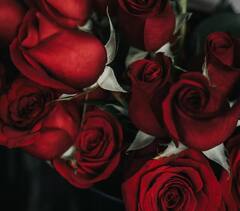 Skin Care Tips : गुलाबाच्या पाकळ्यांचा करा 'असा' वापर, मिळेल चमकदार आणि निरोगी त्वचा