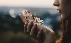 Zodiac Signs: দোকা নয়, একা থাকতে পছন্দ করেন এই রাশির জাতকরা