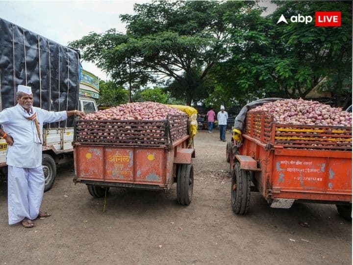 Onion Export Duty Become curse for farmers Maharashtra And Central Government trying to solve issue प्याज पर 40 फीसदी एक्सपोर्ट ड्यूटी, महाराष्ट्र में किसानों को रुला रही, सरकार से की ये तीन मांगें
