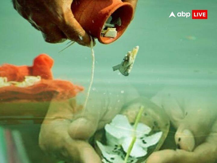 सब्जियां: पितृपक्ष के दौरान कुछ सब्जियों का सेवन भी वर्जित माना गया है. इसलिए बाजार से ये चीजें बिल्कुल न खरीदें. इस समय लहसुन, प्याज, मूली, अरबी और जमीन के भीतर पैदा होने वाली कंद जैसी सब्जियां नहीं खरीदनी चाहिए.