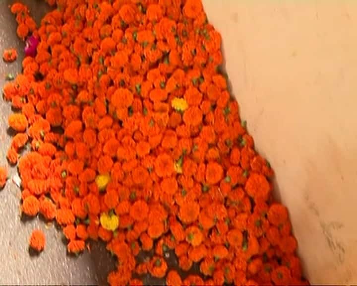 यावर्षी इंद्रदेव आणि त्याचा ऐरावत असं एक आगळे वेगळे डेकोरेशन श्रॉफ बिल्डिंग पुष्पवृष्टी उत्सव मंडळाच्या वतीने करण्यात आला आहे.