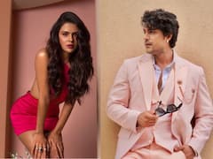 बिग बॉस 16 फेम प्रियंका चाहर चौधरी ने पिंक ड्रेस में दिए सिजलिंग पोज, 'क्लोज फ्रेंड' अंकित गुप्ता बोले- 'जान लेलो तुम'