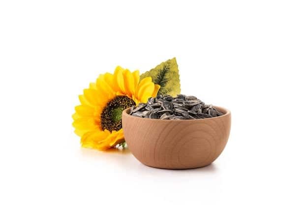 सूरजमुखी के बीज  (Sunflower Seeds): सूरजमुखी के बीज सेहत के लिए वरदान माना जाता है. इसमें ढेर सारे विटामिन और मिनरल्स पाए जाते हैं. एक मुट्ठी सूरजमुखी के बीज से ही अच्छी मात्रा में प्रोटीन, फाइबर, आयरन और पोटैशियम मिलता है. इसके अलावा, कॉपर, मैंगनीज, विटामिन सी और थियामिन भी भरपूर मात्रा में मिलता है.