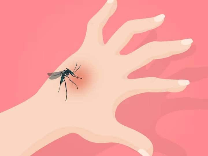 ડેન્ગ્યુનો ચેપ અથવા ડેન્ગ્યુ તાવ એડીસ નામના મચ્છરના કરડવાથી ફેલાય છે. વરસાદની ઋતુમાં અનેક જગ્યાએ પાણી ભરાવાને કારણે આ મચ્છરોની ઉત્પત્તિ થવા લાગે છે. ડેન્ગ્યુ તાવને ખતરનાક માનવામાં આવે છે કારણ કે દર્દીના પ્લેટલેટ કાઉન્ટમાં ઘટાડો થવા લાગે છે. જેના કારણે દર્દીની હાલત ગંભીર થવા લાગે છે.