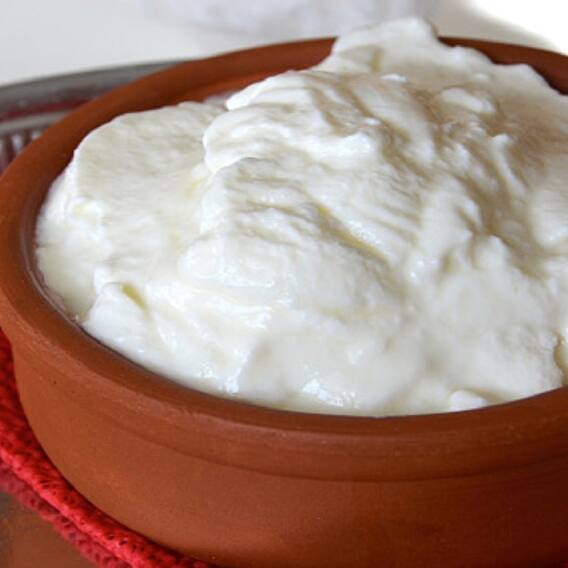 Curd: ਸਵੇਰ ਦੀ ਡਾਈਟ 'ਚ ਦਹੀਂ ਨੂੰ ਕਰੋ ਸ਼ਾਮਲ, ਮਿਲਣੇ ਆਹ ਫਾਇਦੇ