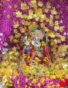 Ganpati Celebration 2023: શ્રદ્ધા આર્યાએ ધામધૂમપૂર્વક કરી ગણપતિ ઉત્સવની ઉજવણી, વ્હાઇટ સાડીમાં લાગી ખૂબ સુંદર