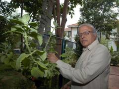 MS Swaminathan, Father Of Green Revolution In India, On Stage With Presidents, Prime Ministers Over The Years