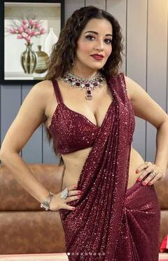 Monalisa: ਮੋਨਾਲੀਸਾ ਨੇ ਸ਼ਿਮਰੀ ਸਾੜ੍ਹੀ 'ਚ ਦਿੱਤੇ ਕਿਲਰ ਪੋਜ਼, ਹੌਟਨੈੱਸ ਨੇ ਵਧਾਈ ਫੈਨਜ਼ ਦੇ ਦਿਲਾਂ ਦੀ ਧੜਕਣ