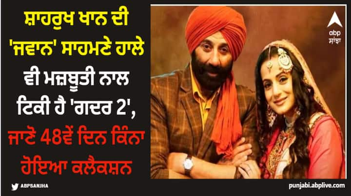 Gadar 2 Box Office Collection: 'ਗਦਰ 2' 48 ਦਿਨਾਂ ਤੋਂ ਬਾਕਸ ਆਫਿਸ 'ਤੇ ਕਮਾਈ ਕਰ ਰਹੀ ਹੈ। ਫਿਲਮ ਨੂੰ ਵੀ ਜਵਾਨ ਦੇ ਤੂਫਾਨ ਦਾ ਸਾਹਮਣਾ ਕਰਨਾ ਪਿਆ ਪਰ ਸੰਨੀ ਦੀ ਫਿਲਮ ਹਾਰ ਮੰਨਣ ਲਈ ਤਿਆਰ ਨਹੀਂ ਹੈ।