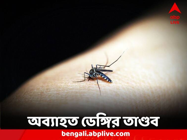 Dengue concern is increasing, task force formation in Malda, district health department meeting in Jalpaiguri WB Dengue: বাড়ছে ডেঙ্গি উদ্বেগ, টাস্ক ফোর্স গঠন মালদায়, জলপাইগুড়িতে বৈঠক জেলা স্বাস্থ্য দফতরের