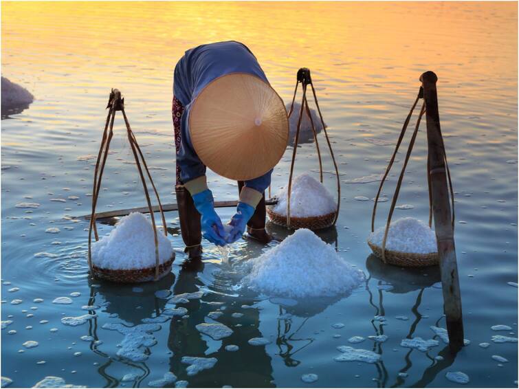 Sea, Table, Pink Salt Which One Is Better For Health Salt: మూడు రకాల ఉప్పుల్లో ఏది ఆరోగ్యానికి ఉత్తమమైందో తెలుసా?