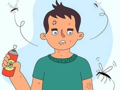 Dengue Fever: શું ડેન્ગ્યુના મચ્છર માત્ર ઘૂંટણની નીચે જ કરડે છે? જાણો નિષ્ણાંતોનો શું છે તર્ક