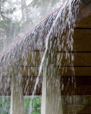 Rain : राज्यातील 'या' भागात जोरदार पावसाचा इशारा