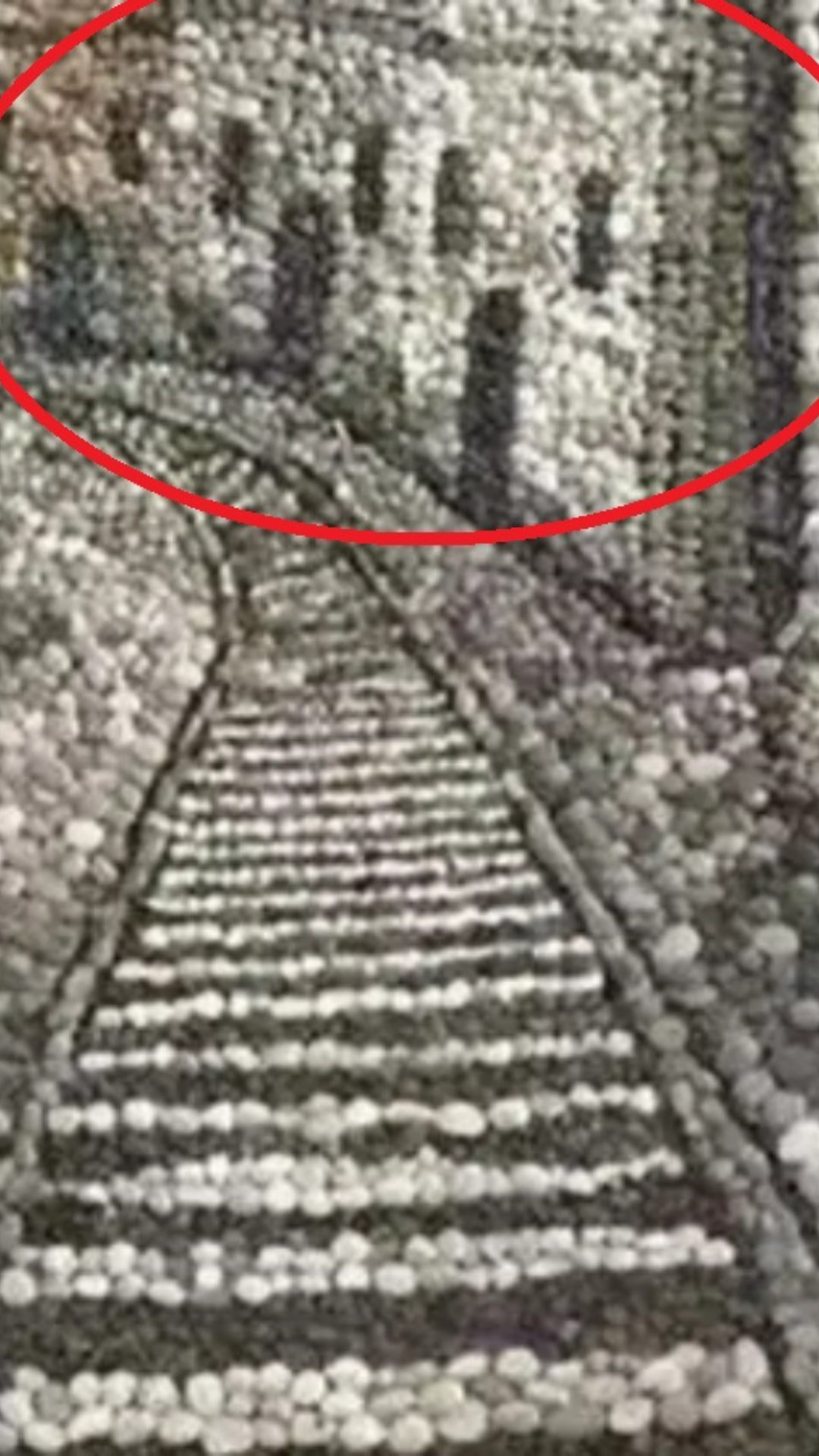 अगर घर की पहचान पहले कि तो आपके भविष्य में बड़ी संभावनाएं हैं