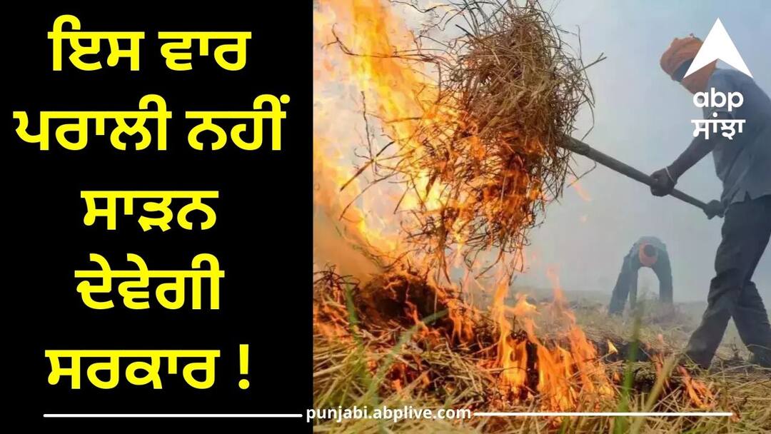 This time the government will not allow to burn straw Punjab News: ਇਸ ਵਾਰ ਪਰਾਲੀ ਨਹੀਂ ਸਾੜਨ ਦੇਵੇਗੀ ਸਰਕਾਰ ! ਜੇ ਪਤਾ ਲੱਗਿਆ ਤਾਂ ਲਾਇਸੈਂਸ ਰੱਦ