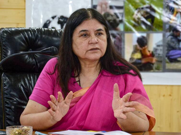 BJP MP Maneka Gandhi gets Rs 100-crore defamation notice from ISKCON బీజేపీ ఎంపీ మనేకా గాంధీపై రూ.100 కోట్ల పరువు నష్టం దావా వేసిన ఇస్కాన్