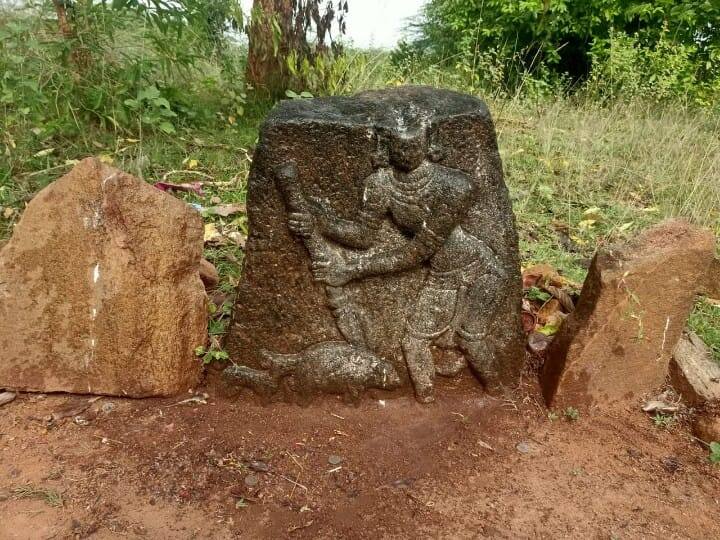 15th Century Middle Stone Sculpture of Pig Stinging Discovered Madaurai: கி.பி 15ம் நூற்றாண்டைச் சேர்ந்த பன்றிக் குத்திப்பட்டான்  நடுகல்  சிற்பம் கண்டுபிடிப்பு!