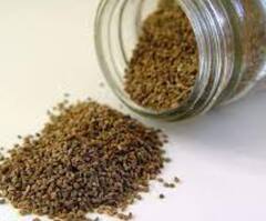 Lifestyle News : 'या' लोकांसाठी ओवा खाणं का ठरु शकतं तोट्याचं, सविस्तर जाणून घ्या