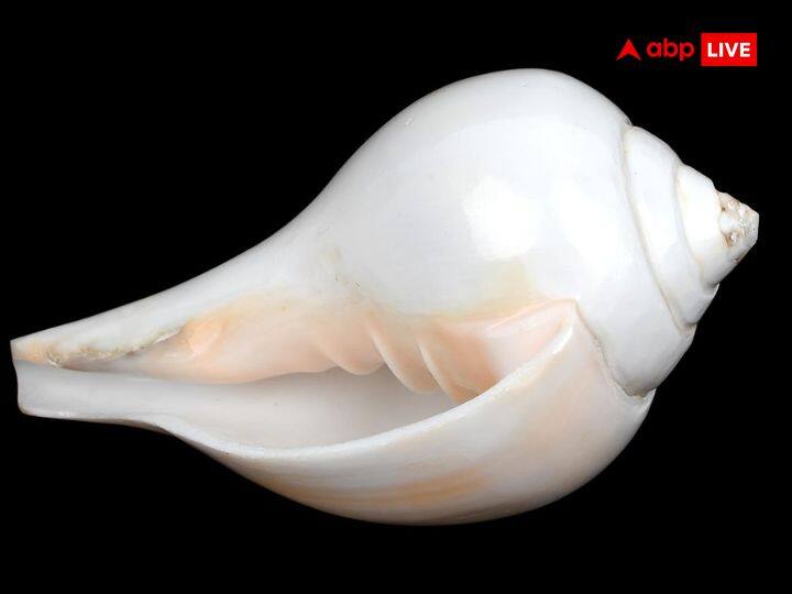 शुक्रवार के दिन 'ॐ श्रीं श्रीये नम:' का 108 बार जाप करें. इसके बाद दक्षिणावर्ती शंख में जल भरकर भगवान विष्णु का अभिषेक करें. इससे मां लक्ष्मी प्रसन्न होती हैं. साथ ही संध्याकाल में तुलसीजी के पास घी का दीपक भी जलाएं.