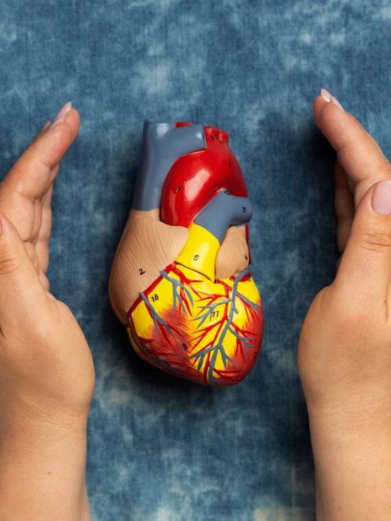 कोलेस्ट्रॉल कंट्रोल करने के लिए क्या खाएं क्या नहीं, जानिए