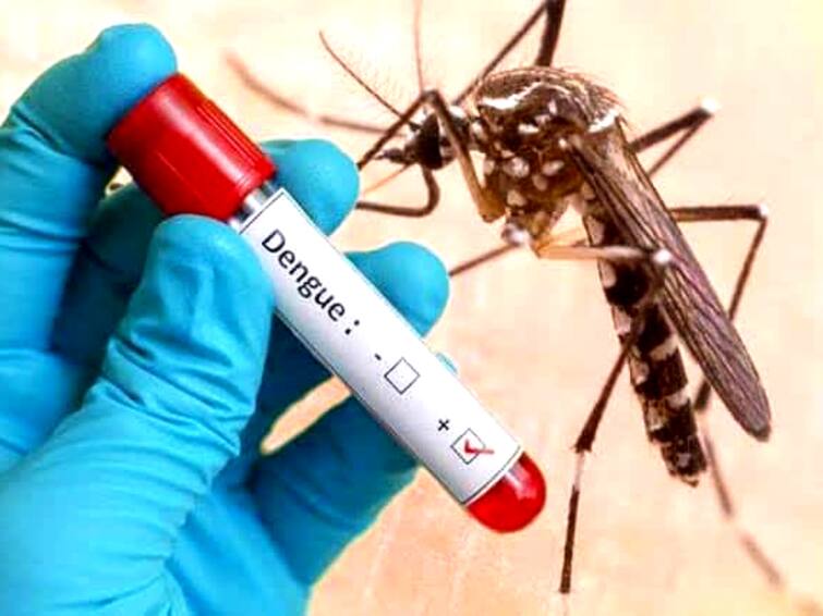 Mayiladuthurai district, 127 people have dengue fever in the last 9 months! Dengue Fever: மயிலாடுதுறையில் டெங்கு நிலவரம் என்ன? - வெளியான எக்ஸ்குளுசிவ் தகவல்