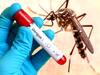 Dengue Fever: மயிலாடுதுறையில் டெங்கு நிலவரம் என்ன? - வெளியான எக்ஸ்குளுசிவ் தகவல்