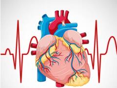 Health Tips: क्या इस टेस्ट के जरिए हार्ट अटैक आने वाला है इसका पता लगाया जा सकता है?