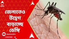 জেলাতেও উদ্বেগ বাড়াচ্ছে ডেঙ্গি