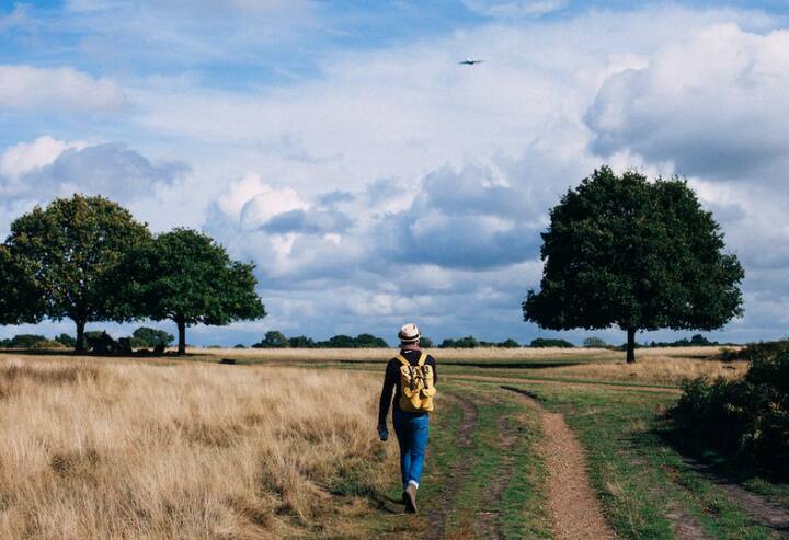 कुटुंबीयांशी किंवा नातेवाईकांशी फोनवर बोलत असताना आपण चालतो, पण हा  चालण्याचा योग्य मार्ग नाही. सायलेंट वॉकिंग हा आरोग्यासाठी उत्तम मार्ग आहे. शांतपणे  चालणे हा आरोग्यासाठी रामबाण उपाय आहे.