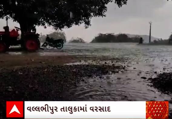 Sihor Rain | ભારે વરસાદ સાથે મૂશળધાર વરસાદ તૂટી પડતા બગડ્યો કપાસનો પાક, જુઓ આ વીડિયોમાં