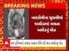 Surat: બારડોલીના સુરાલીમાં વરઘોડામાં નાચતા નાચતા આધેડનું મોત નિપજ્યું