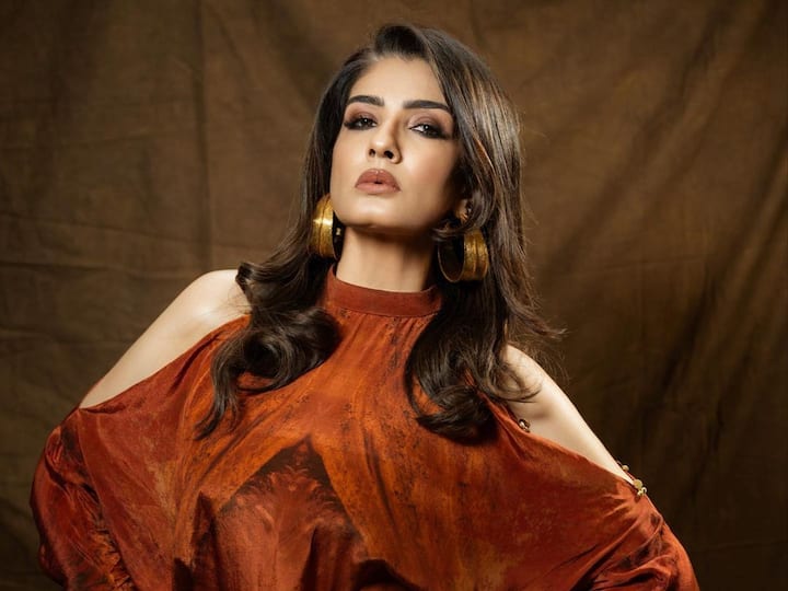 Raveena Tandon became her glamorous self in a brown outfit. See pics she shared on her official social media account