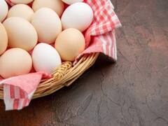 Health Tips: एक दिन में कितने अंडे खाना हेल्थ के लिए सही है? हेल्थ एक्सपर्ट ने दी ये खास सलाह