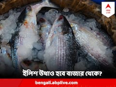 দেদার ধরা হচ্ছে খোকা ইলিশ, বিক্রিও দারুণ ! পরিণাম ভয়ঙ্কর, আশঙ্কায় মৎস্য ব্যবসায়ীরা