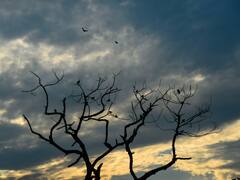 हरियाणा में आज नहीं होगी बारिश, तापमान में होगा बदलाव, जानिए आगे कैसा रहेगा मौसम