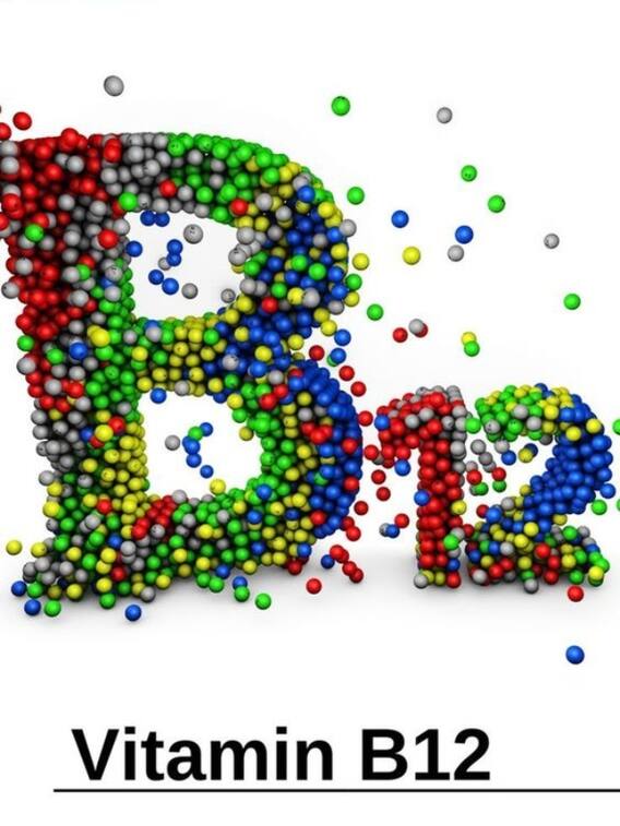 शाकाहारी लोग इस खाने से करें विटामिन बी12 की कमी पूरी